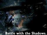 Shadow Battle